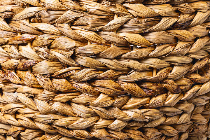 KARLIE Kratzbaum Trend Line Banana Leaf II